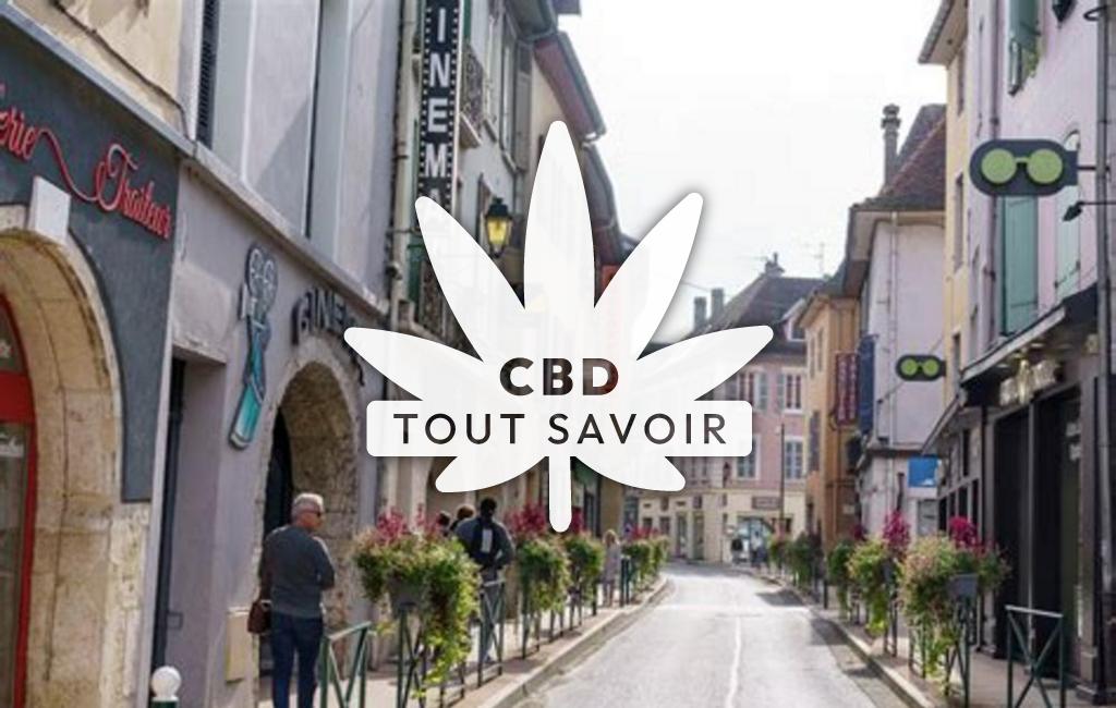 Village à Le-Pont-de-Beauvoisin avec feuille Cannabis CBD