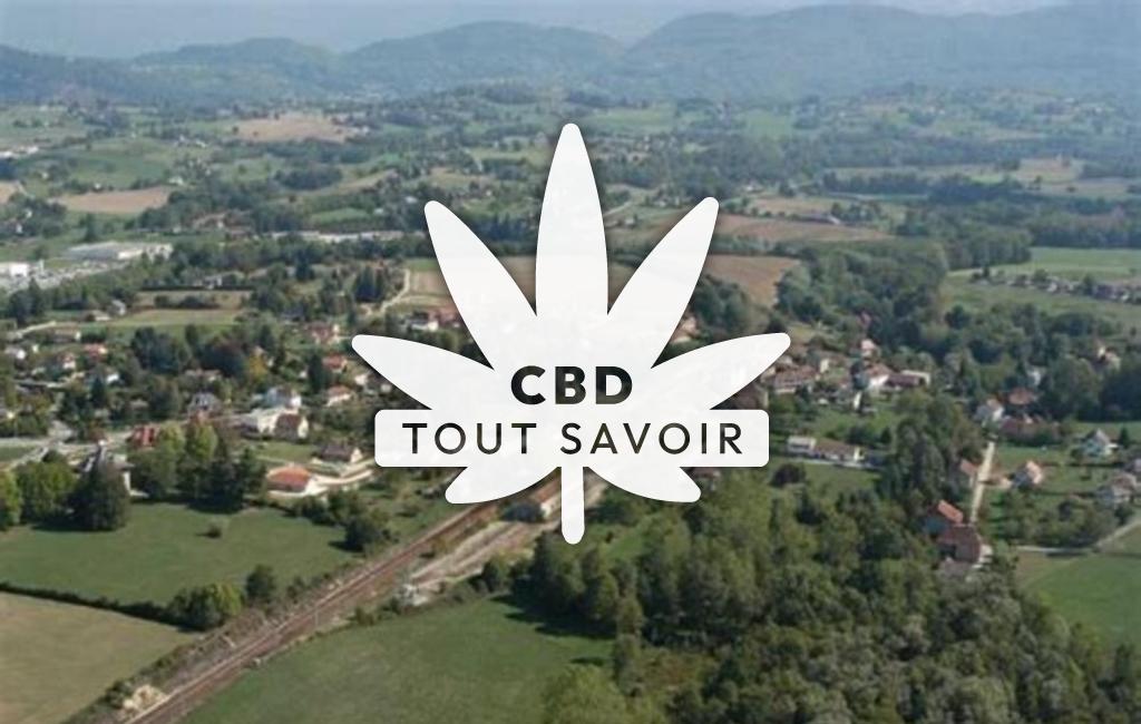 Village à Pressins avec feuille Cannabis CBD