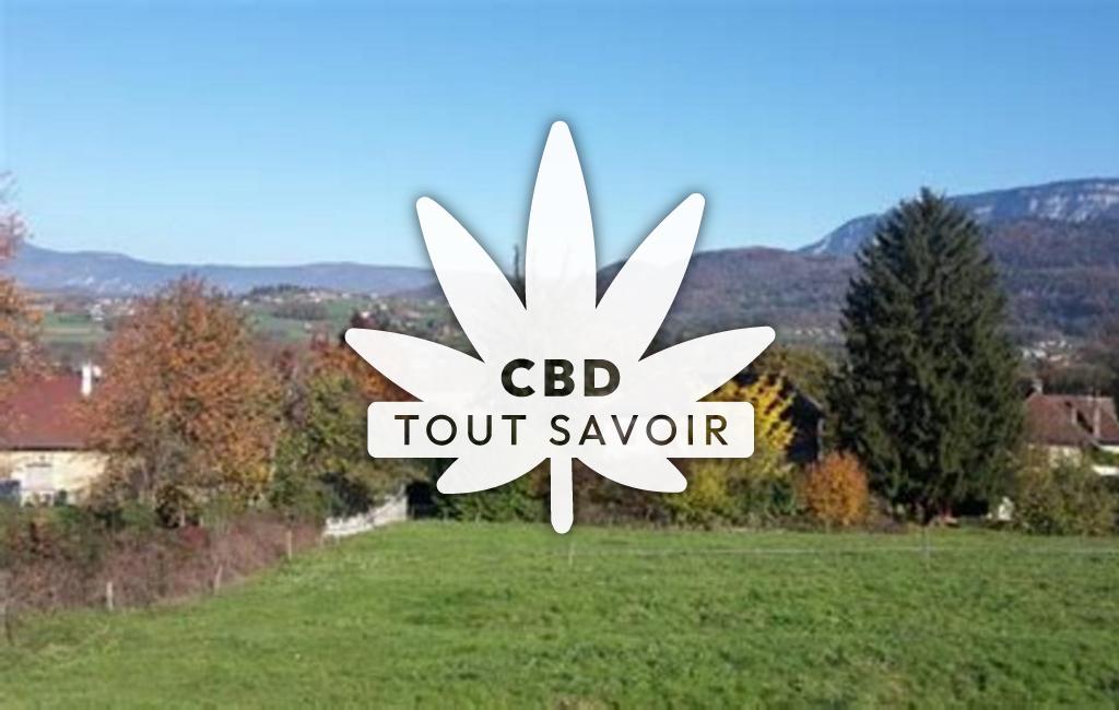 Village à Saint-Albin-de-Vaulserre avec feuille Cannabis CBD
