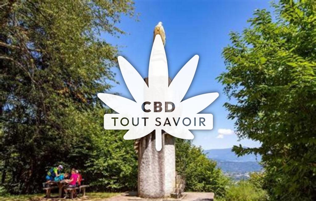 Village à Saint-Martin-de-Vaulserre avec feuille Cannabis CBD