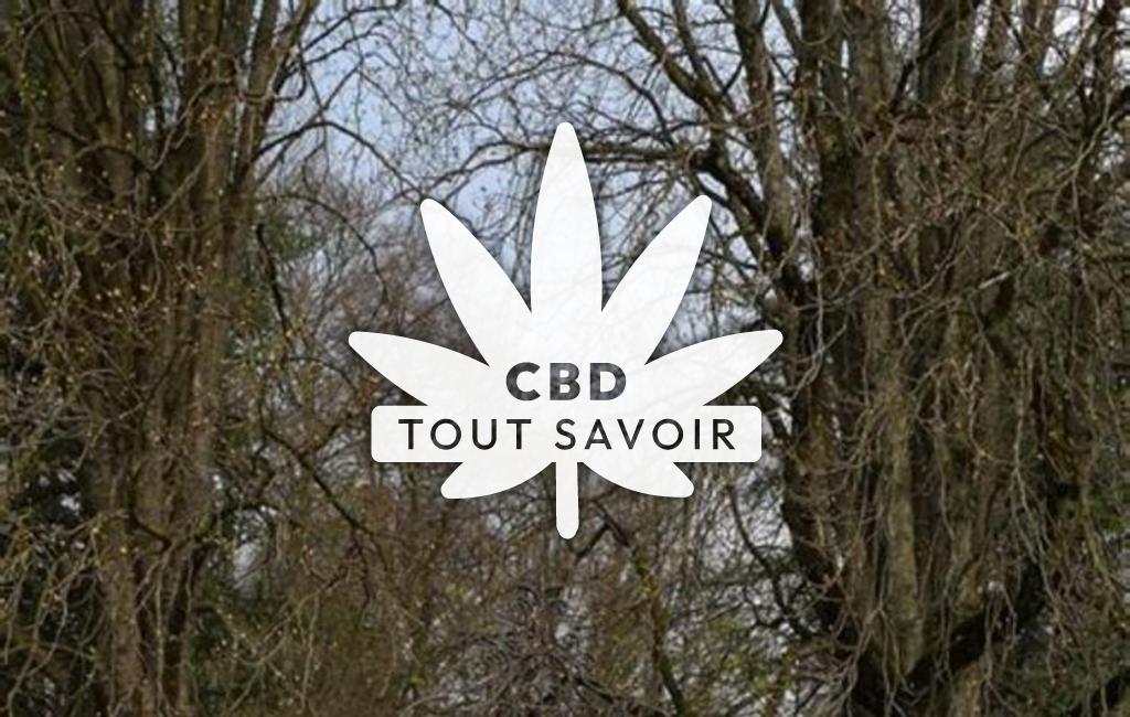Village à Coublevie avec feuille Cannabis CBD