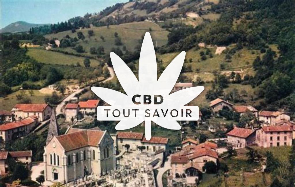 Village à La-Buisse avec feuille Cannabis CBD