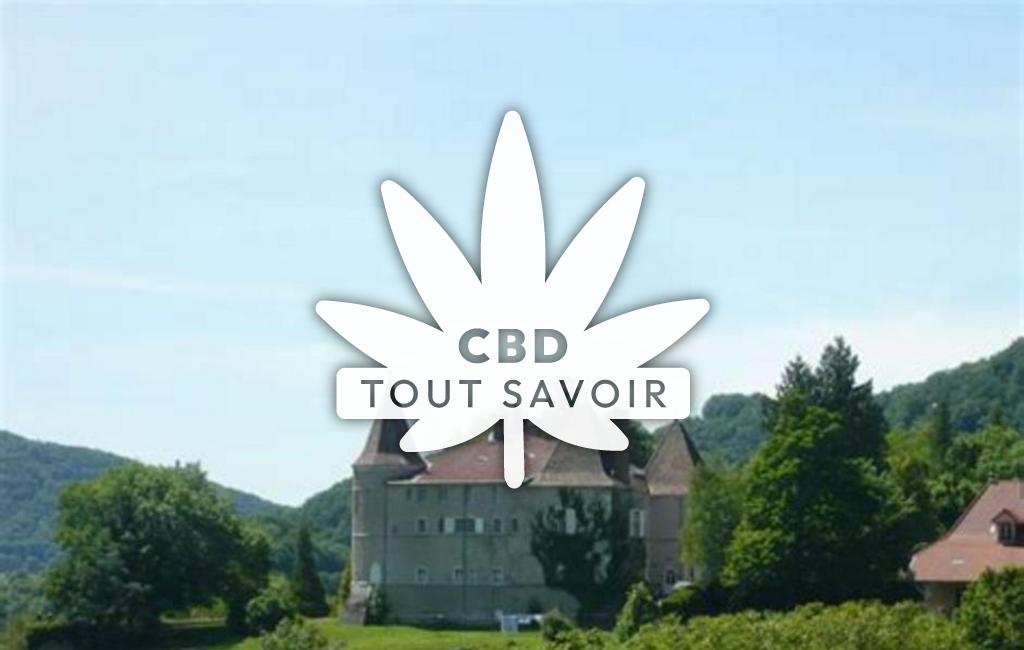 Village à Saint-Nicolas-de-Macherin avec feuille Cannabis CBD