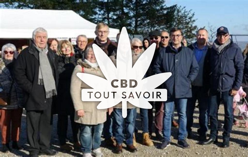 Village à Saint-Sorlin-de-MoreSaintel avec feuille Cannabis CBD