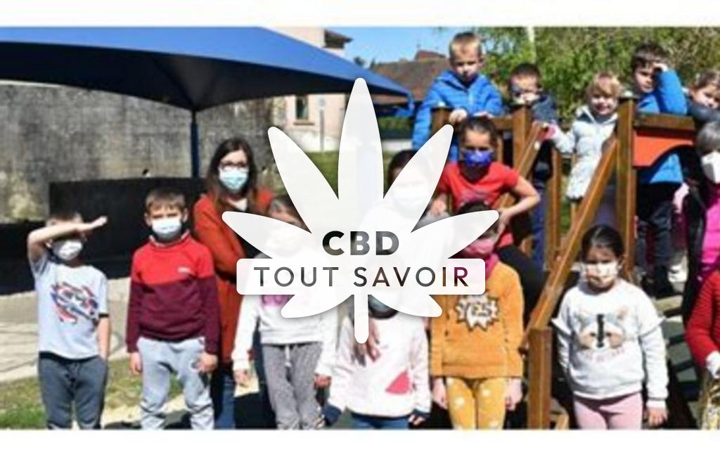Village à Vezeronce-Curtin avec feuille Cannabis CBD