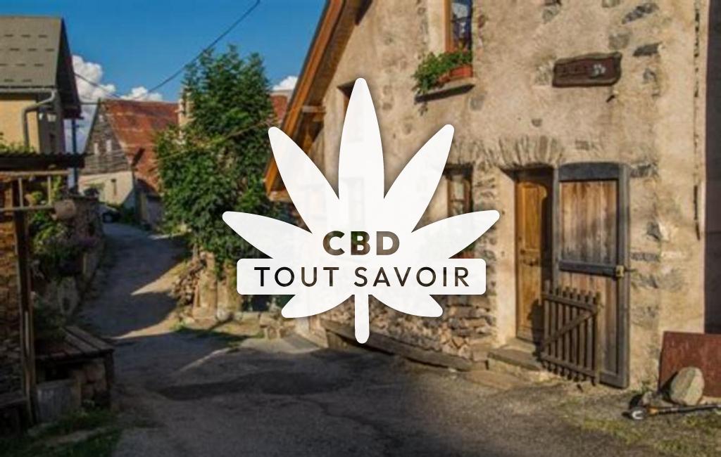 Village à Villard-Notre-Dame avec feuille Cannabis CBD