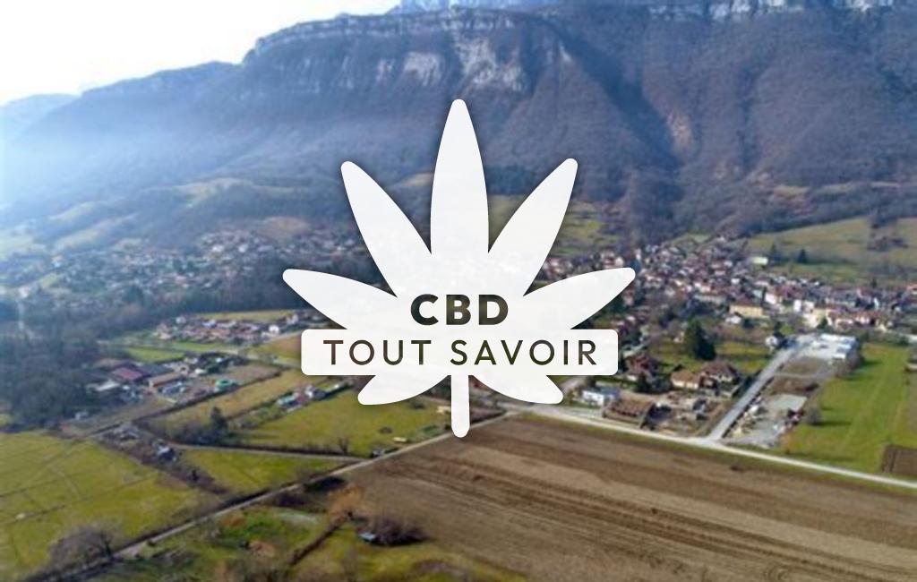 Village à Barraux avec feuille Cannabis CBD