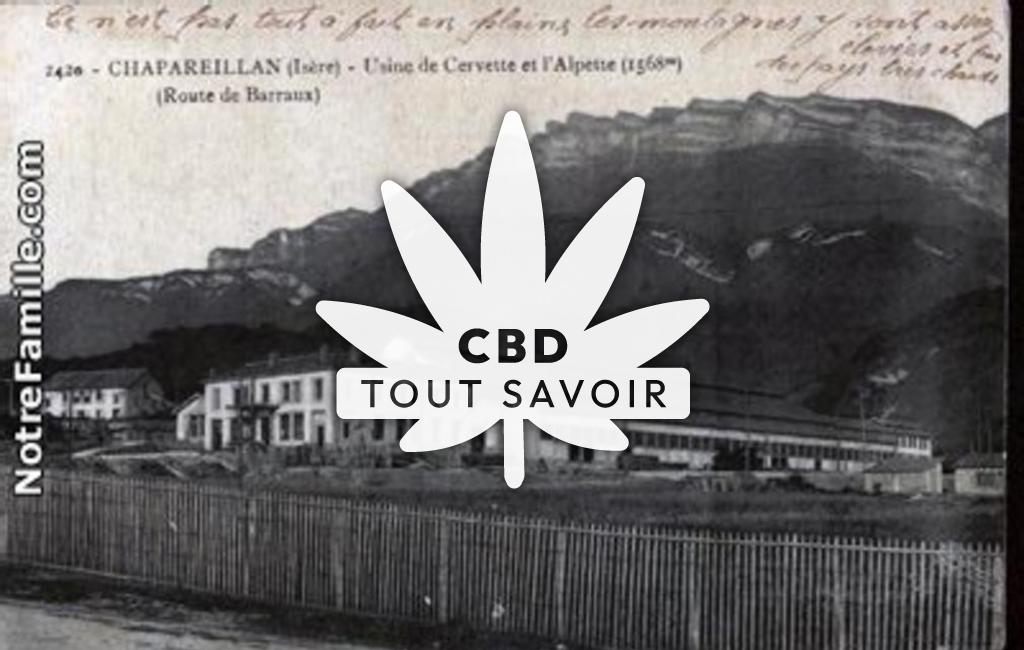 Village à Chapareillan avec feuille Cannabis CBD