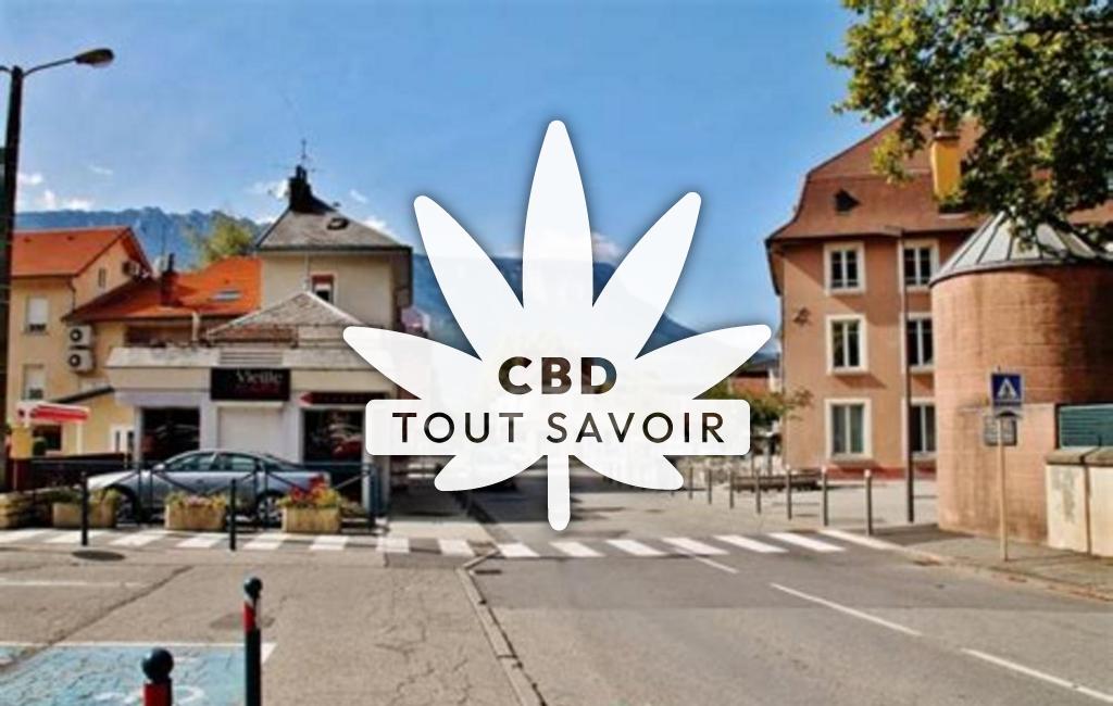 Village à Pontcharra avec feuille Cannabis CBD