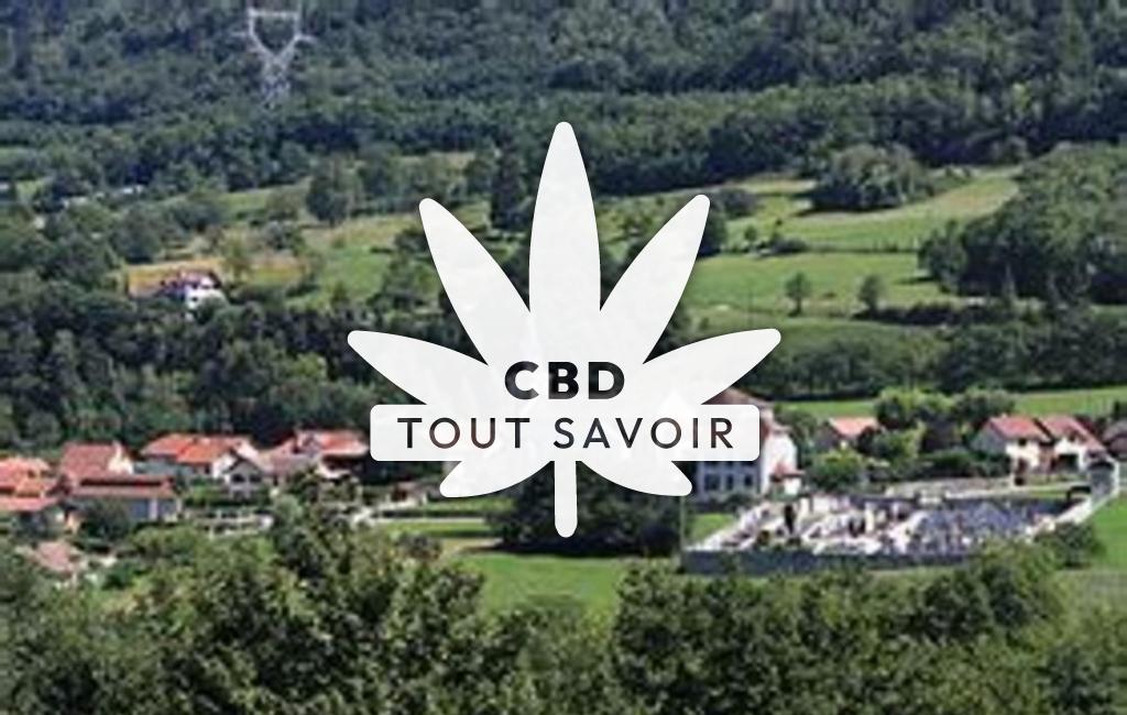 Village à Saint-Maximin avec feuille Cannabis CBD