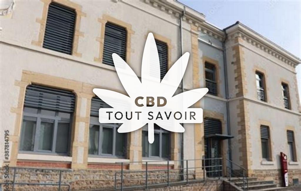Village à Heyrieux avec feuille Cannabis CBD