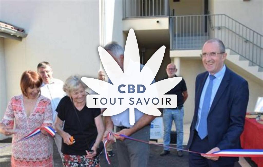 Village à Cheyssieu avec feuille Cannabis CBD