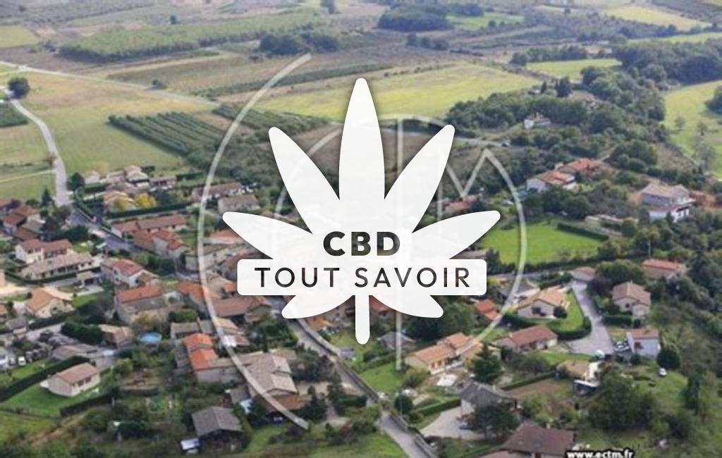 Village à Clonas-sur-Vareze avec feuille Cannabis CBD