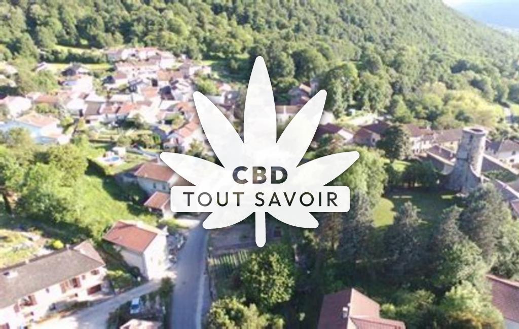 Village à Champ-sur-Drac avec feuille Cannabis CBD
