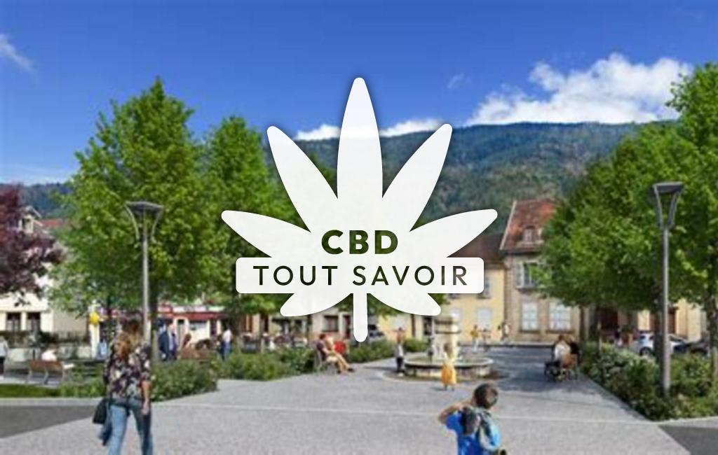 Village à Crets-en-Belledonne avec feuille Cannabis CBD