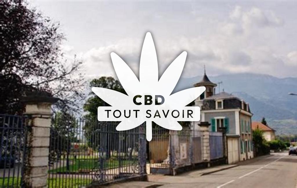 Village à Tencin avec feuille Cannabis CBD
