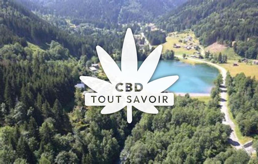 Village à Le-Haut-Breda avec feuille Cannabis CBD