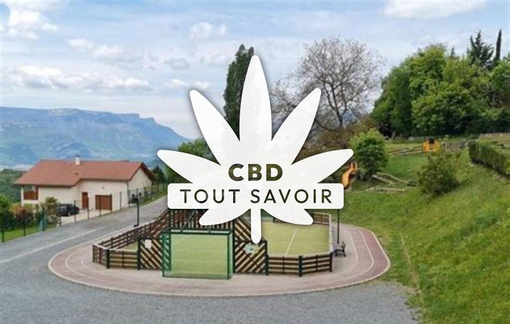 Village à Venon avec feuille Cannabis CBD