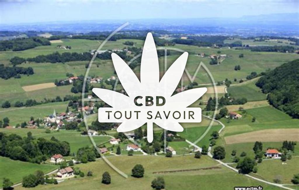 Village à Saint-Sulpice-des-Rivoires avec feuille Cannabis CBD