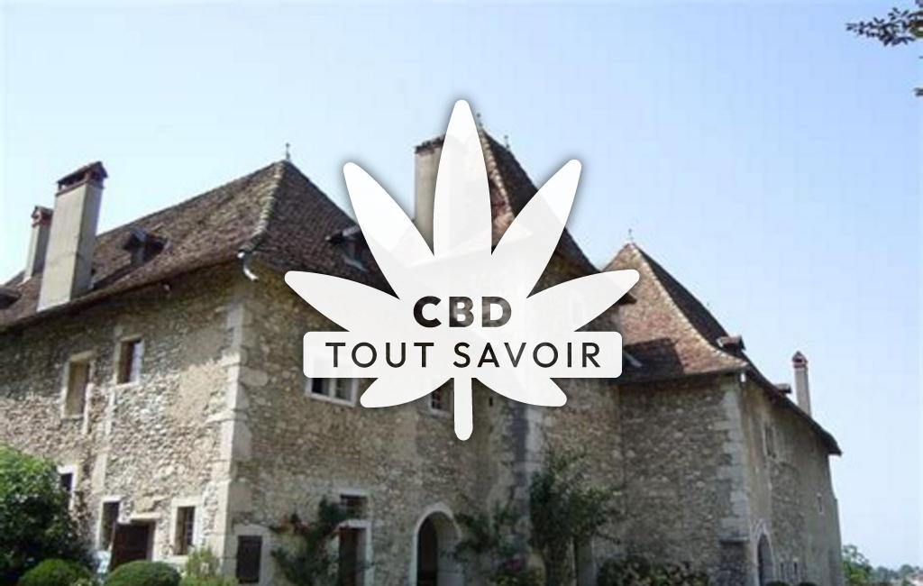 Village à Voissant avec feuille Cannabis CBD