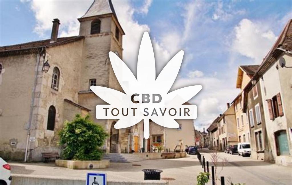 Village à Monestier-de-Clermont avec feuille Cannabis CBD