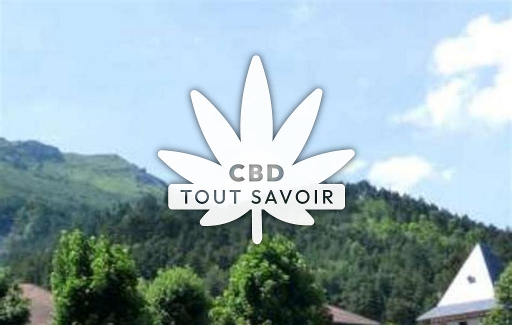 Village à Roissard avec feuille Cannabis CBD