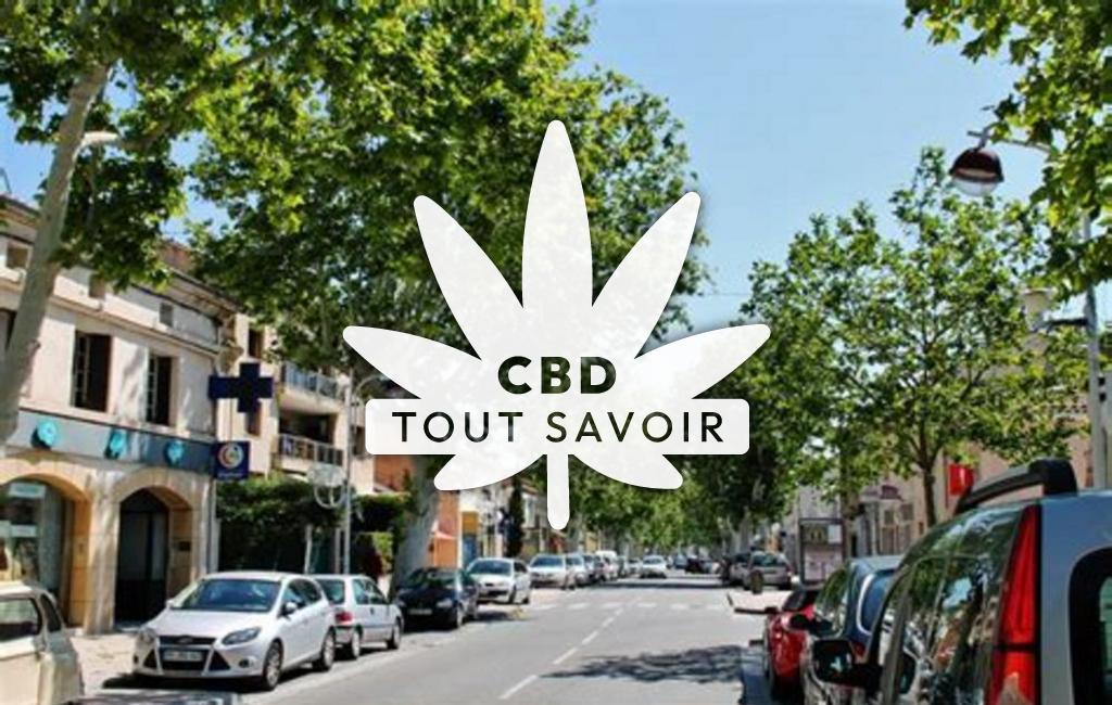 Village à Saint-Martin-de-la-Cluze avec feuille Cannabis CBD