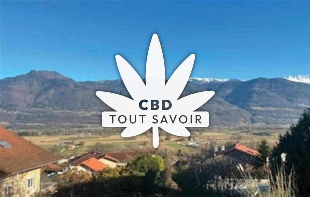 Village à Le-Touvet avec feuille Cannabis CBD