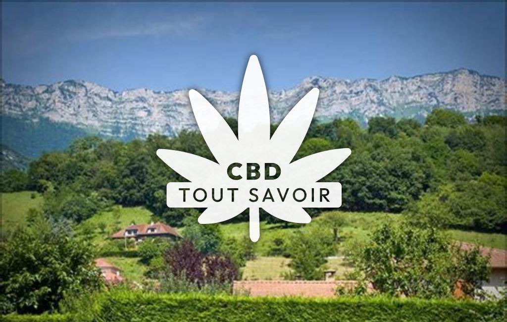 Village à Sainte-Marie-D'Alloix avec feuille Cannabis CBD