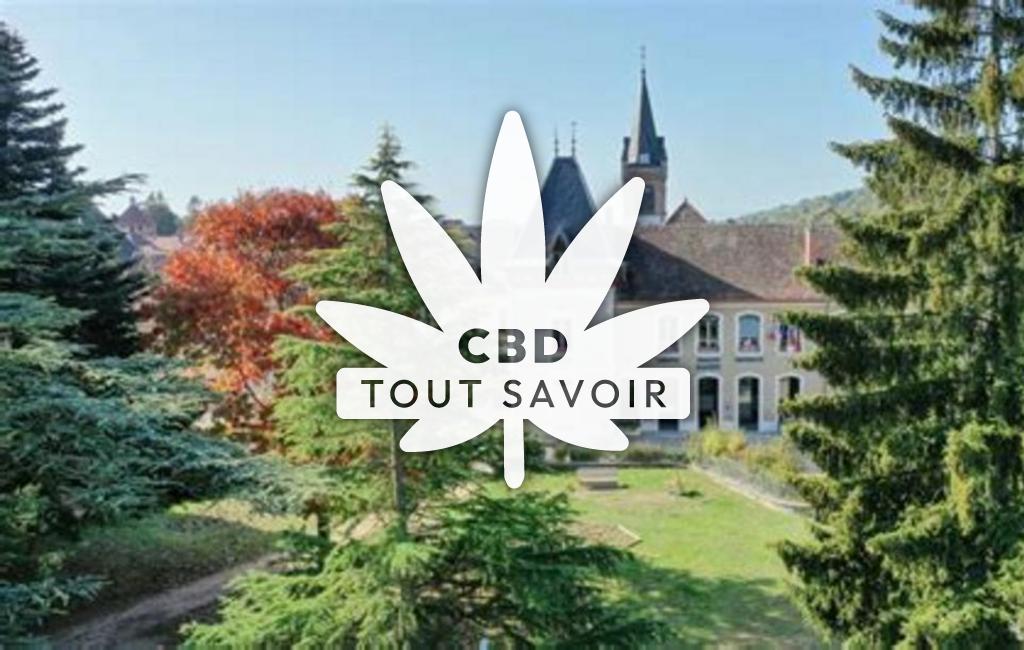Village à Le-Grand-Lemps avec feuille Cannabis CBD