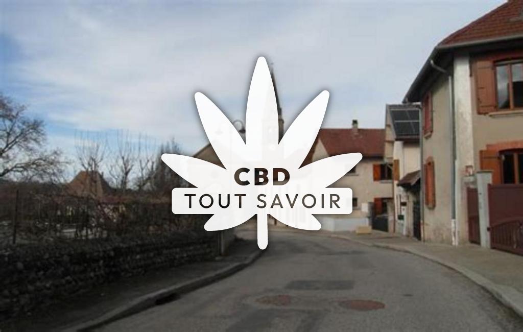 Village à Saint-Didier-de-Bizonnes avec feuille Cannabis CBD