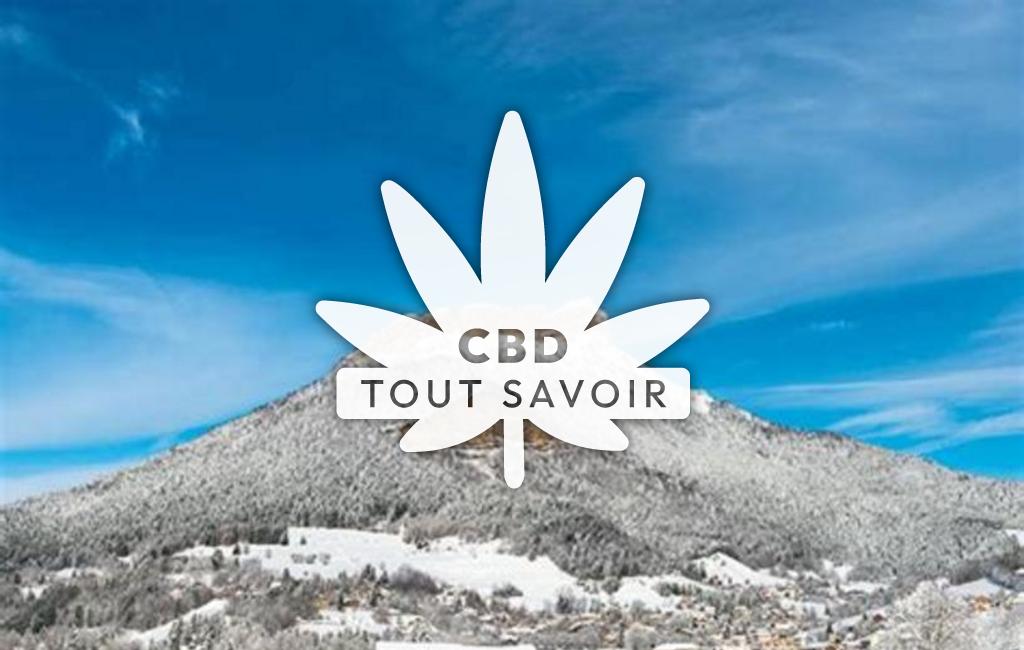 Village à Le-Sappey-en-Chartreuse avec feuille Cannabis CBD