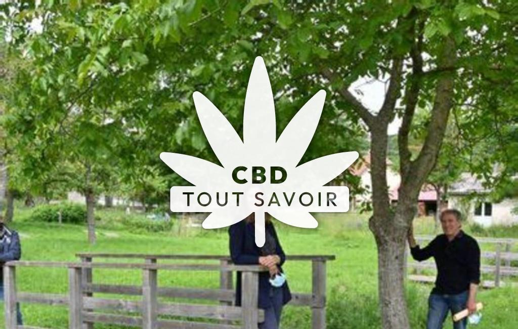 Village à Chatel-en-Trieves avec feuille Cannabis CBD