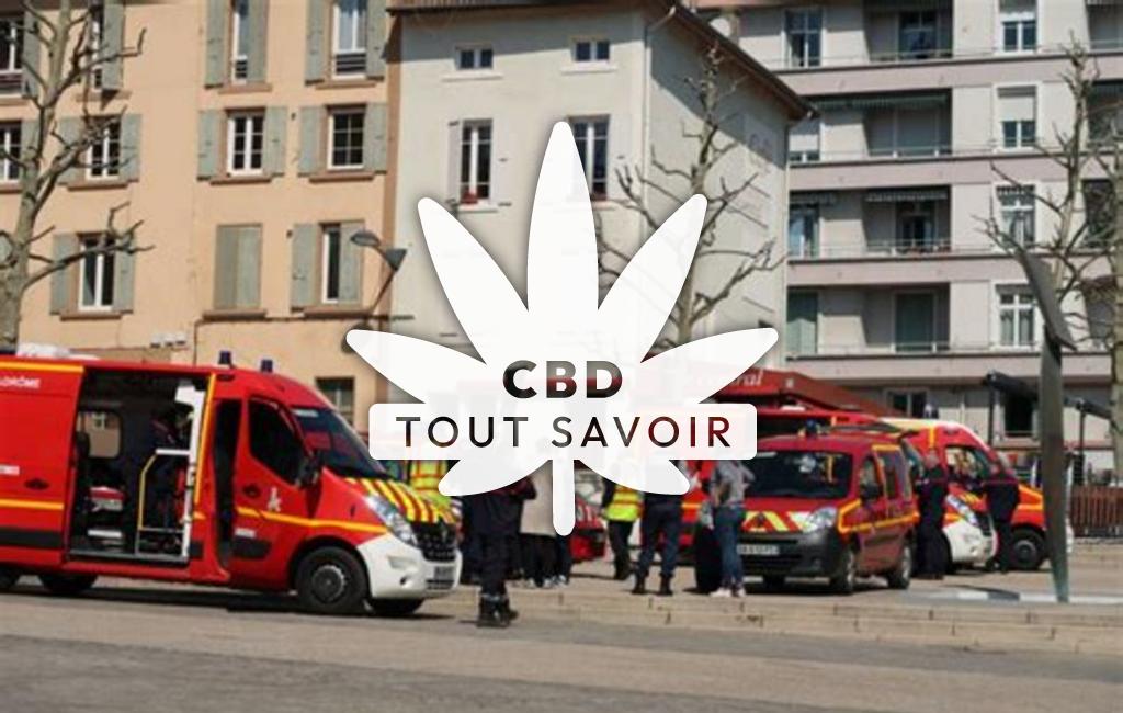 Village à Doissin avec feuille Cannabis CBD