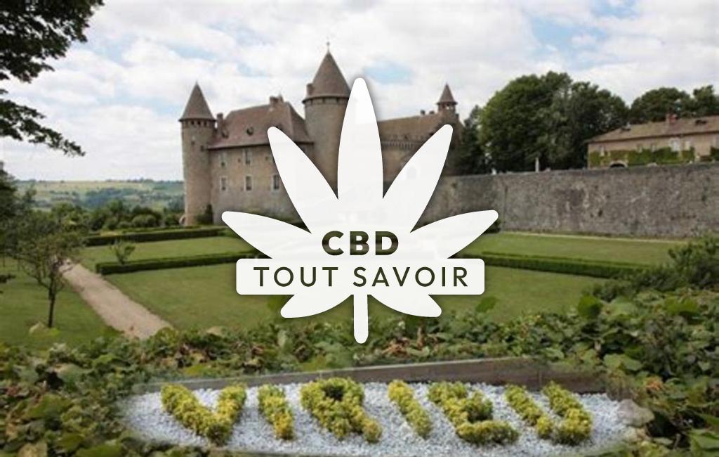 Village à Val-de-Virieu avec feuille Cannabis CBD