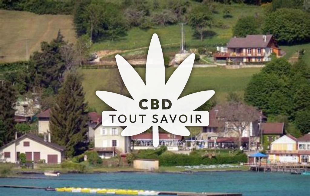 Village à Villages-du-Lac-de-Paladru avec feuille Cannabis CBD