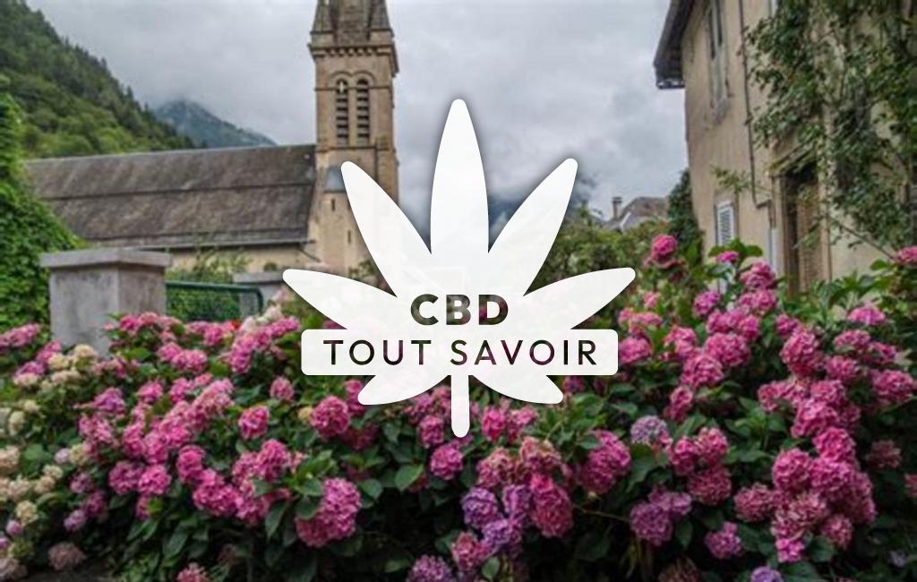 Village à Valjouffrey avec feuille Cannabis CBD