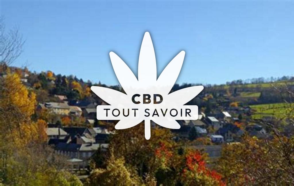 Village à La-Motte-D'Aveillans avec feuille Cannabis CBD