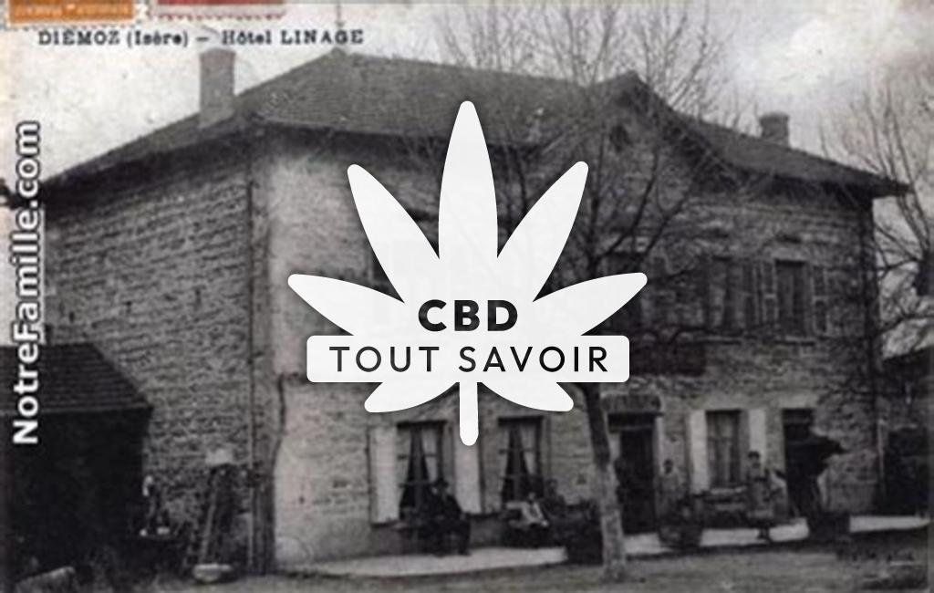 Village à Diemoz avec feuille Cannabis CBD