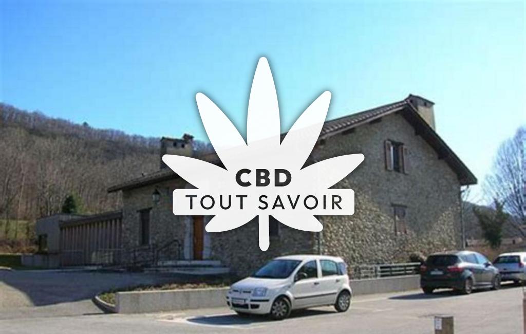 Village à Champagnier avec feuille Cannabis CBD