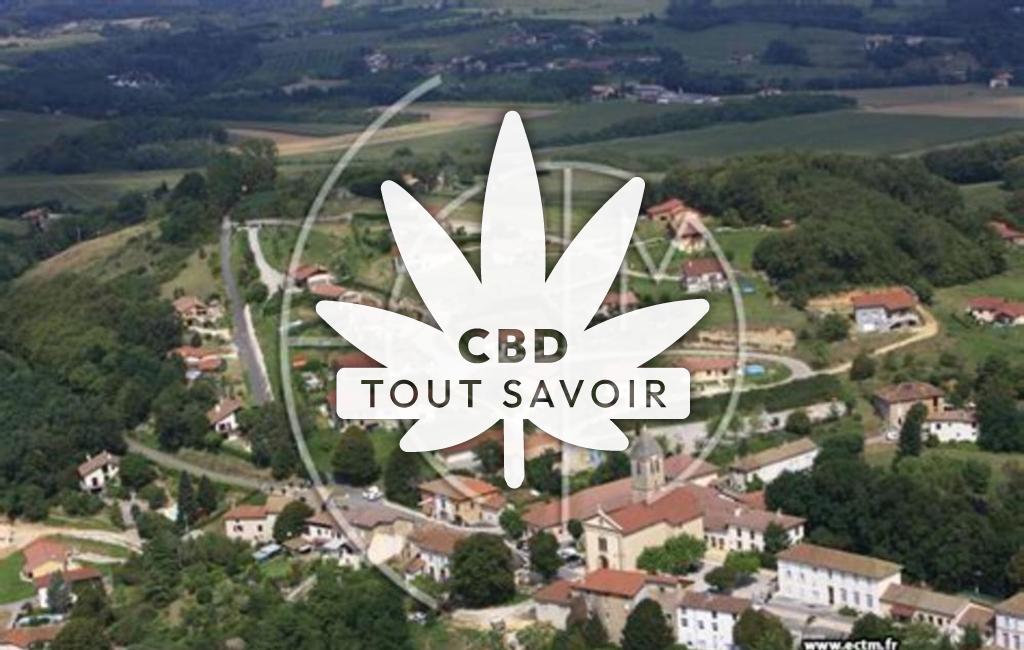 Village à Saint-Bonnet-de-Chavagne avec feuille Cannabis CBD