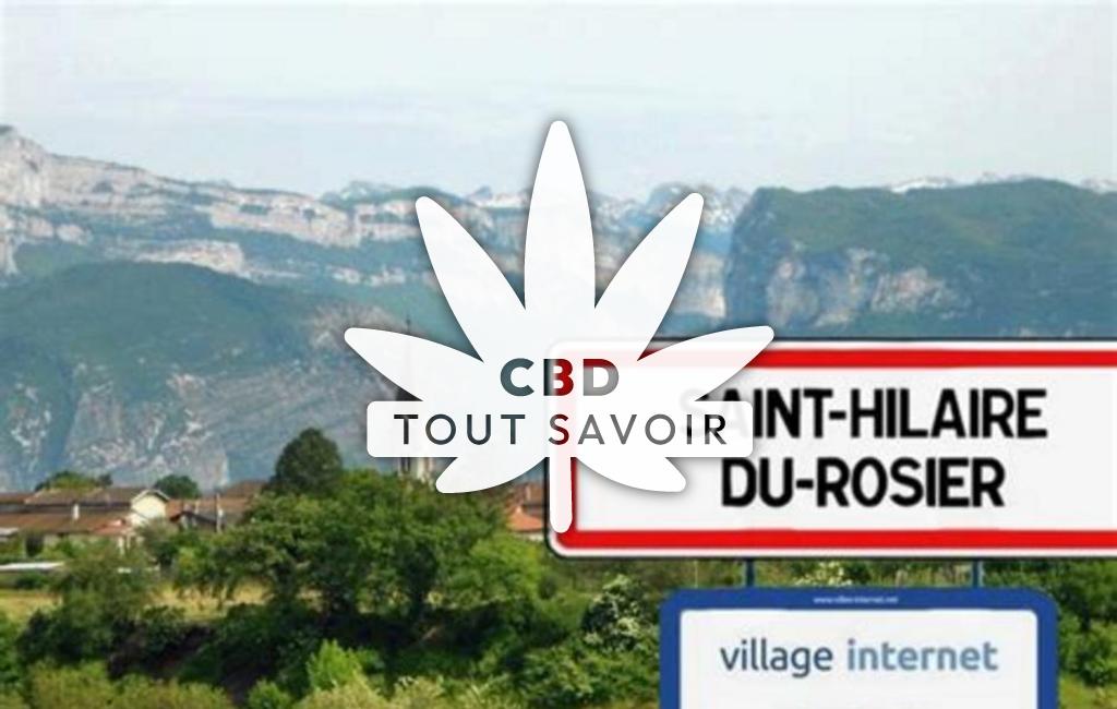 Village à Saint-Hilaire-du-Rosier avec feuille Cannabis CBD