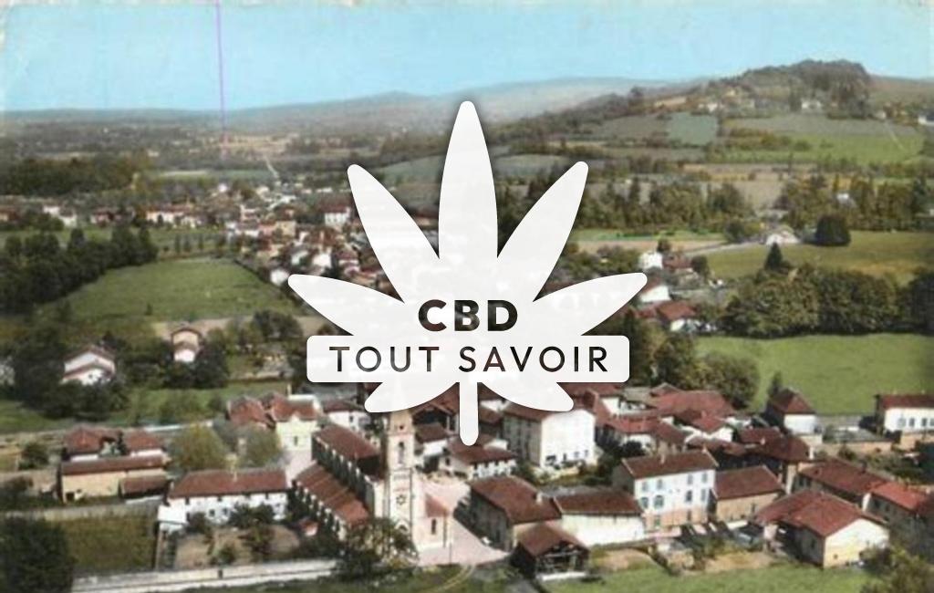 Village à Saint-Simeon-de-Bressieux avec feuille Cannabis CBD
