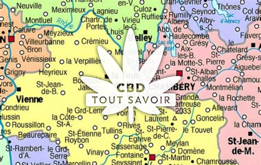 Village à Salagnon avec feuille Cannabis CBD
