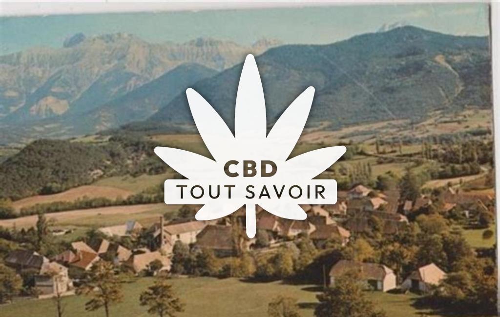 Village à Saint-Maurice-en-Trieves avec feuille Cannabis CBD