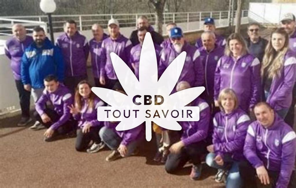 Village à Saint-Clair-sur-Galaure avec feuille Cannabis CBD
