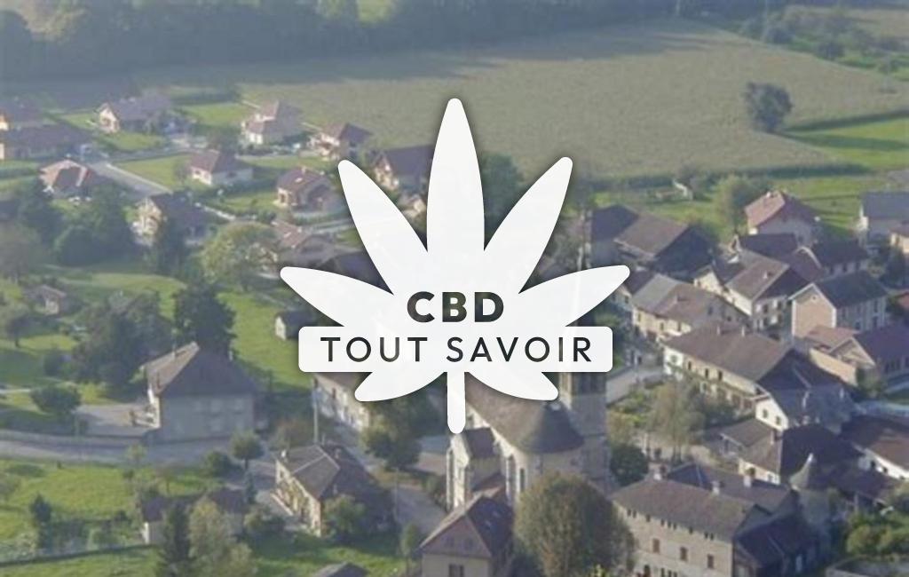 Village à Saint-Aupre avec feuille Cannabis CBD