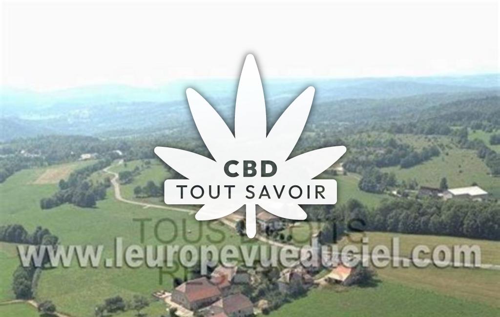 Village à Les-Chalesmes avec feuille Cannabis CBD
