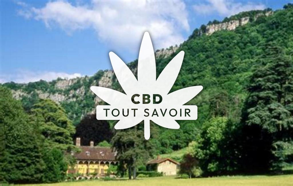 Village à Gizia avec feuille Cannabis CBD