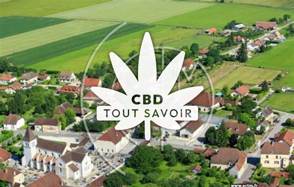 Village à Chissey-sur-Loue avec feuille Cannabis CBD